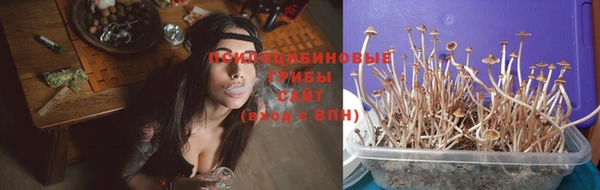 тгк Беломорск