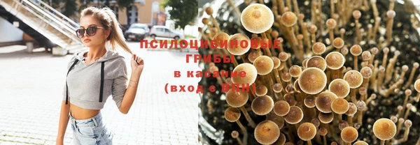 меф Белокуриха