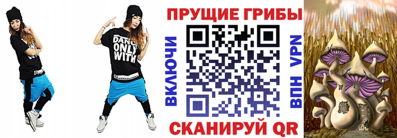 где купить наркоту  Борисоглебск  Псилоцибиновые грибы Psilocybe 